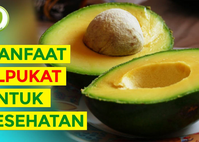 Inilah 3 Manfaat Buah Alpukat untuk Kesehatan yang Jarang Diketahui, Mau Tahu Apa Saja? Simak Artikel Ini