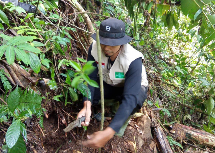 Demi Alam Batang, Lintas Komunitas di Batang Tanam Ratusan Bibit Pohon di Curug Genting