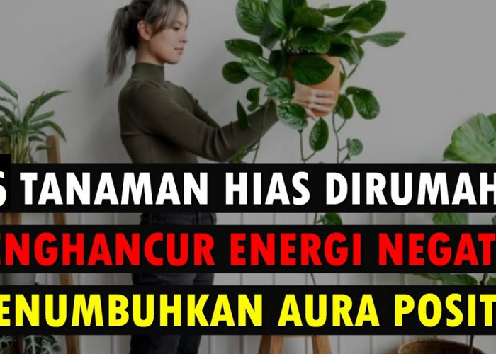 Ini 6 Tanaman Hias yang Bisa Menghancurkan Energi negatif dan Menciptakan Energi Positif Menurut Primbon Jawa