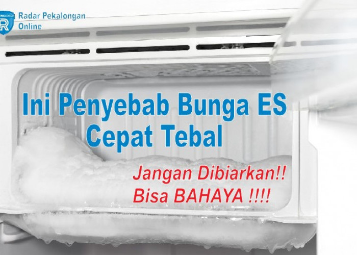 Apa Penyebab Bunga Es Cepat Tebal? Ternyata Penyebabnya Sepele Namun Bisa Berbahaya untuk Kulkas!