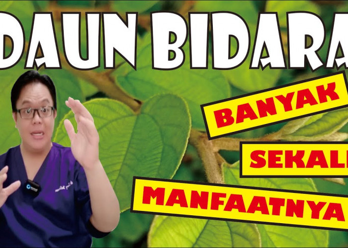 Mampu Mencegah Diabetes! Inilah 3 Khasiat Daun Bidara untuk Kesehatan