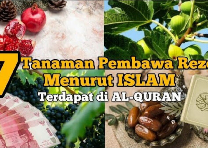 Muslim Wajib Baca! Inilah 7 Tanaman Pembawa Rezeki Menurut Islam yang Telah Disebutkan di Dalam Al-Qur’an