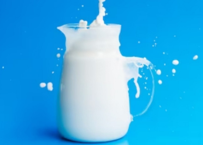 8 Produk Susu untuk Lansia yang Susah Makan agar Sehat di Masa Tua