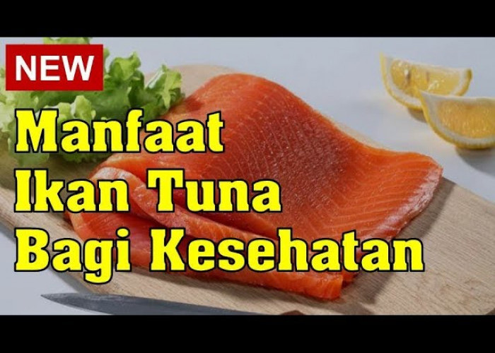 Manfaat Ikan Tuna untuk Kesehatan, Dapat Mencegah Anemia dan Membantu Mengatasi Stres