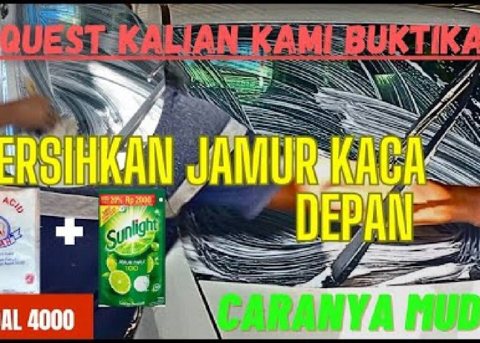 Trik Ampuh Basmi Jamur Pada Kaca Depan Mobil, Solusi Murah dan Efektif!