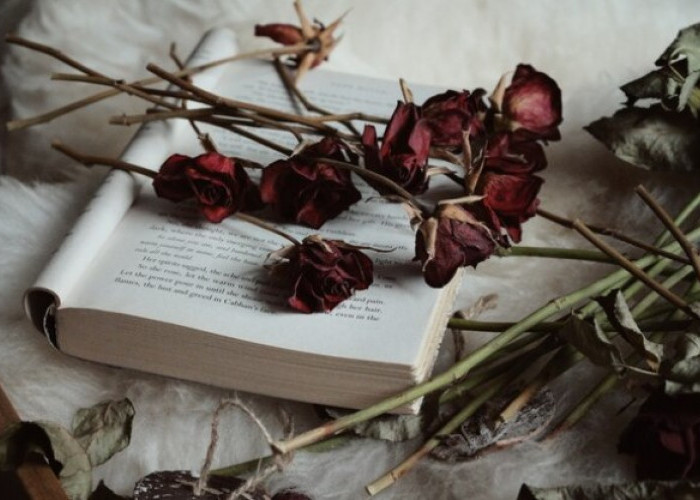 Terbaik di Dunia! 3 Novel Romantis Ini Populer Sepanjang Zaman Meski Sudah Bertahun-tahun Diterbitkan