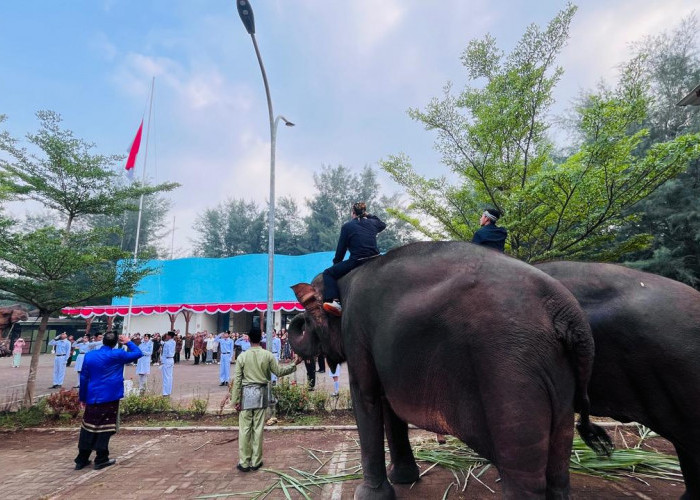 Semarak HUT RI, Beach Safari Batang Hadirkan Upacara Unik Bersama Satwa