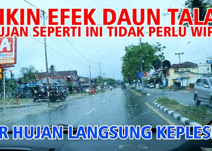 Trik Ampuh Bikin Efek Daun Talas Pada Kaca Mobil, Saat Hujan Bisa Tanpa Wiper!