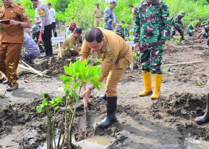 Plt. Bupati Pekalongan Sukirman Dukung Penanaman 1.000 Mangrove untuk Lindungi Pesisir dari Abrasi