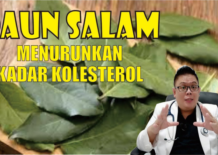 Khasiat Kesehatan dari Satu Lembar Daun Salam Untuk Kesehatan, Apa Saja?