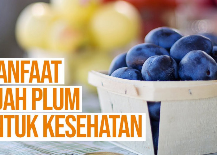 Manfaat Buah Plum untuk Kesehatan yang Dapat Membantu Menurunkan Berat Badan