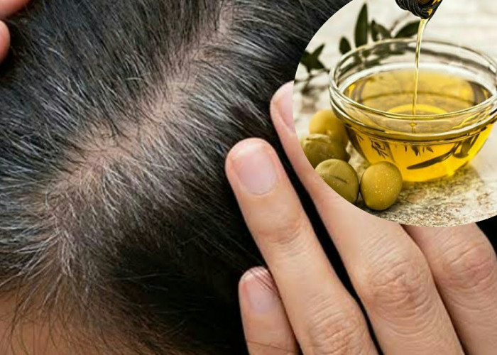 3 Cara Pakai Minyak Zaitun Herborist untuk Rambut Uban yang Benar, Usir Rambut Putih dalam Sekali Oles