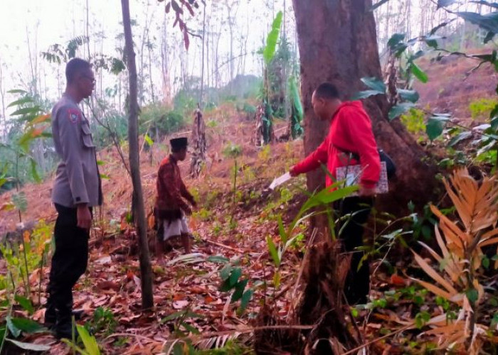 Suroso dan Lukman Sudah Diingatkan untuk Turun dari Pohon Durian, 2 Penebas Durian Tewas Disambar Petir