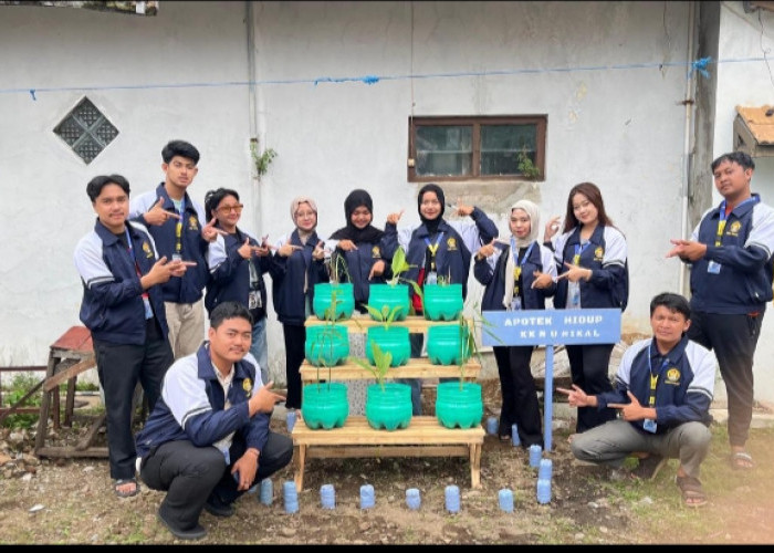 Pemberdayaan Lingkungan: KKN Unikal Bangun Apotek Hidup dan Kenalkan Bandrek Tradisional