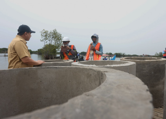 Taj Yasin Kawal Pembangunan Hybrid Seawall, Warga Demak Menatap Pemulihan Tambak