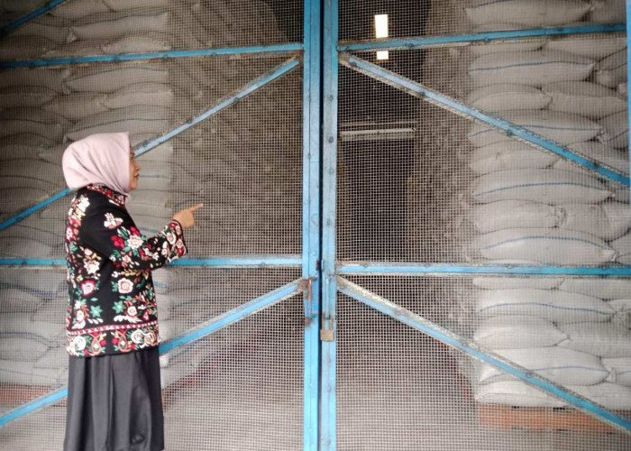 Banjir Ancam Panen, DPRD Batang Desak Bulog Percepat Serapan Gabah