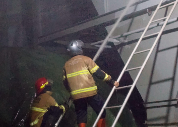 Kebakaran Mesin Dry Hammer Mill PT Sumber Graha Sejahtera Batang, Dua Pekerja Luka Bakar dan Sesak Napas