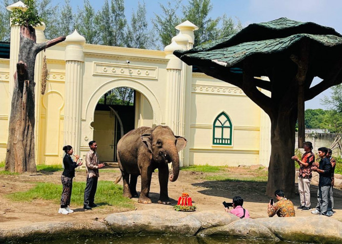 Semarak Hari Kartini, Gajah Kartini Jadi Daya Tarik di Beach Safari Batang