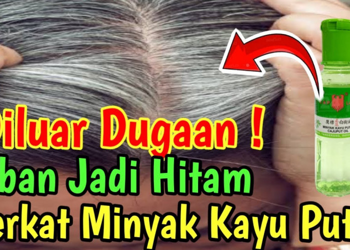 4 Cara Menggunakan Minyak Kayu Putih untuk Rambut Uban, Hasilnya Bikin Tercengang!
