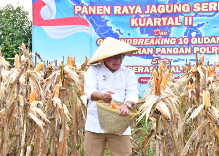 Plt. Bupati Pekalongan Sukirman Apresiasi Sinergi Polri dan Petani dalam Panen Raya Jagung di Doro