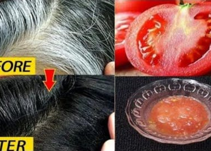 3 Cara Menghilangkan Uban Agar Tidak Tumbuh Lagi dengan Tomat, Rahasia Rambut Putih Hilang Sampai Akar