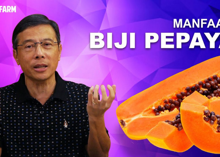 Manfaat Biji Pepaya untuk Kesehatan, Dapat Melindungi Fungsi Ginjal 