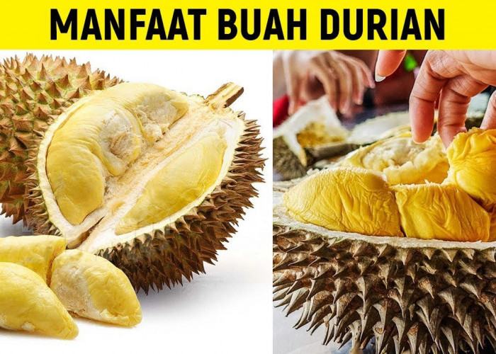 Mau Tahu 4 Manfaat Makan Durian di Malam Hari untuk Kesehatan? Berbagai Manfaatnya Bisa Kamu Cek di Sini