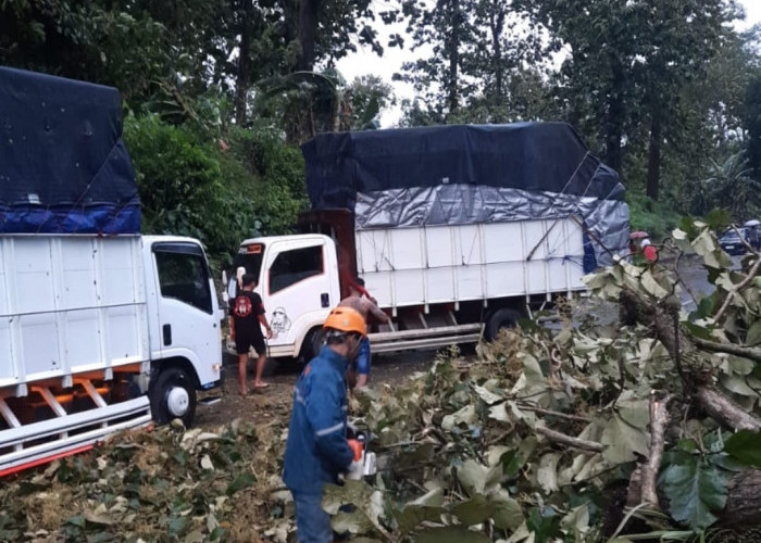 Cuaca Ekstrem Diprediksi Hingga 7 Maret, BPBD Batang Minta Masyarakat Waspadai Potensi Bencana Susulan