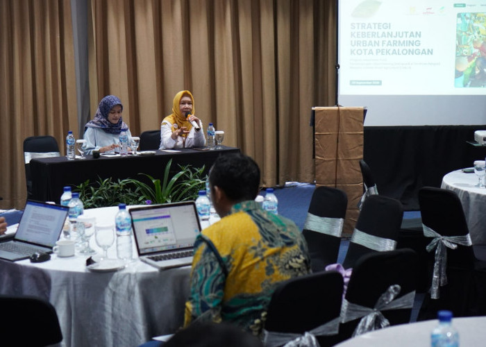 Urban Farming Dorong Ekonomi Warga Pekalongan, Lahan Terbatas Disulap Jadi Sumber Pendapatan
