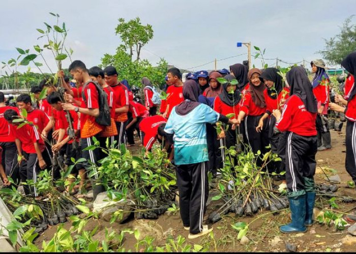 Aksi Peduli Lingkungan, SMK Negeri 3 Kota Pekalongan Tanam 1.000 Bibit Mangrove