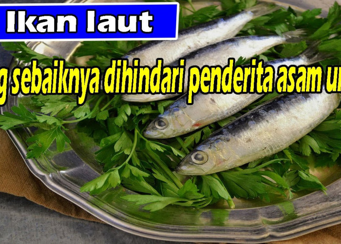 5 jenis Ikan yang Tidak Boleh Dimakan oleh Penderita Asam Urat, Dapat Memperparah Penyakit Asam Urat
