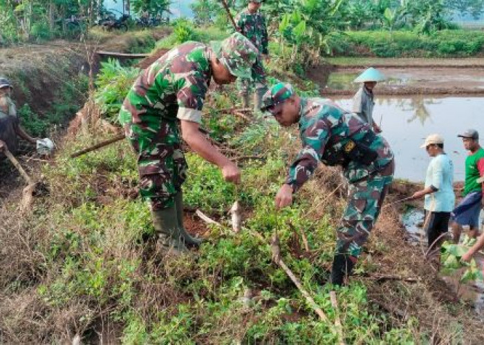 Babinsa Koramil Bojong dan Petani Gropyokan Tikus di Sawah Desa Wangandowo Pekalongan