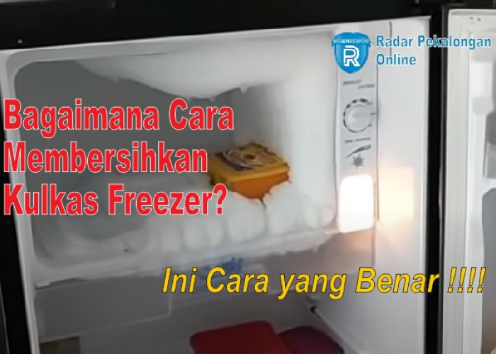 Bagaimana Cara Membersihkan Kulkas Freezer? Ternyata Begini Cara yang Benar Agar Kulkas Bebas dari Bunga Es!