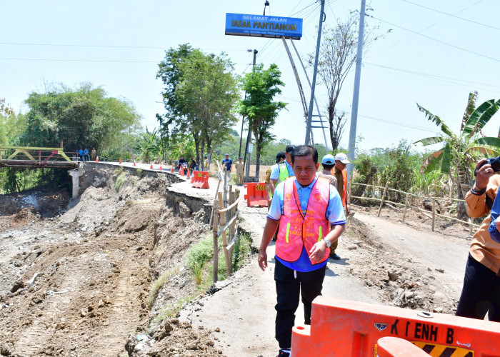 Plt Bupati Pekalongan Sukirman Tinjau Pembangunan Turap Jembatan Pantianom, Ditarget Rampung Awal Desember