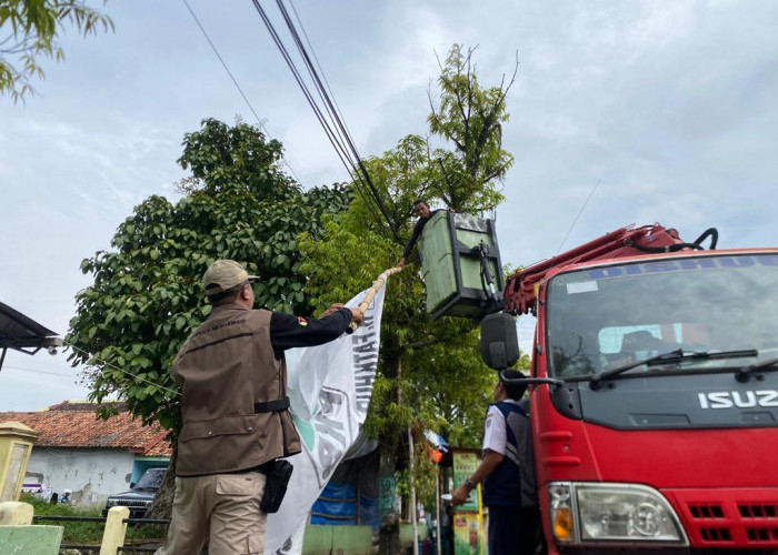 3.977 APK Langgar Aturan Ditertibkan Bawaslu Batang