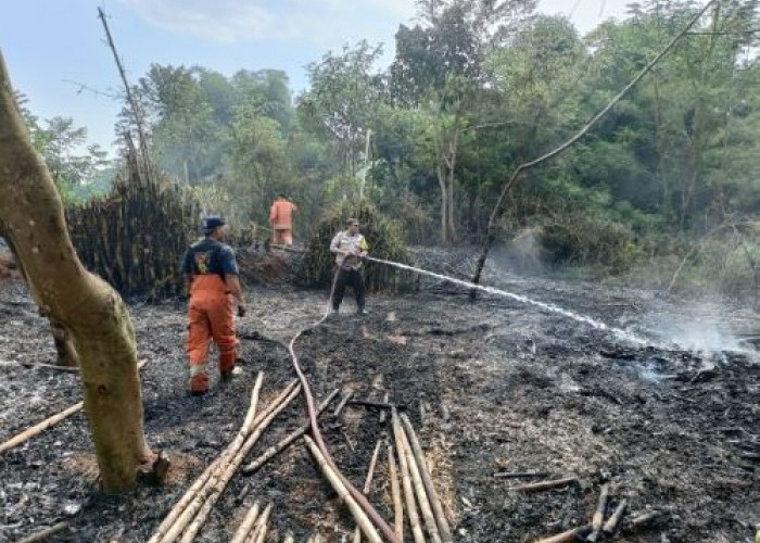 Lagi Lagi Gara-gara Puntung Rokok, Kebakaran Lahan Terjadi di Desa Tanjungkulon