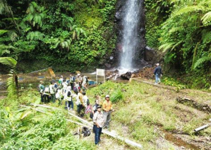 YLNH dan Perum Perhutani Gelar Pelatihan ToT Identifikasi HCV di PeFI Madiun