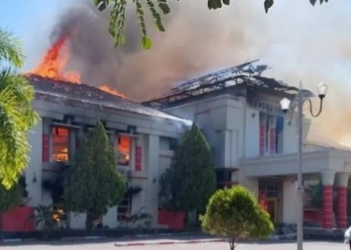 Ternyata Begini Kronologi Unjuk Rasa Anarkis yang Bakar Kantor Bupati Pohuwato