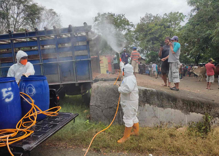 Kasus PMK di Jateng Melandai, Peternak Diimbau Tak Lena