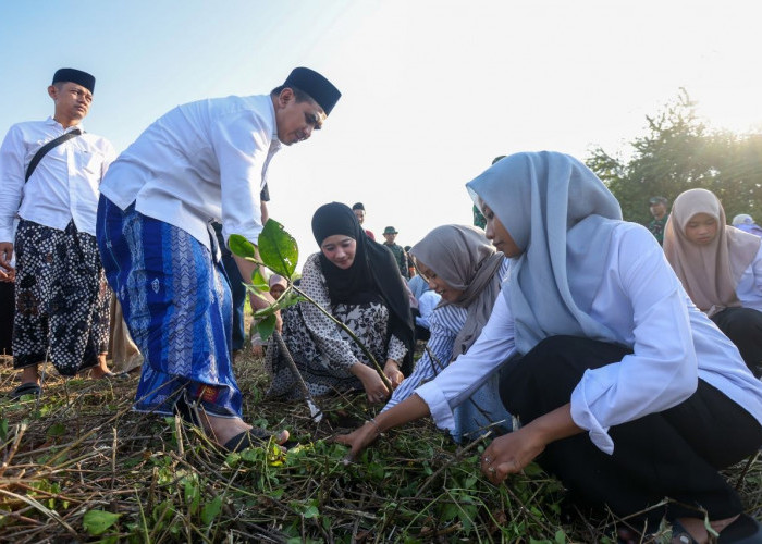 Tumbuhkan Kesadaran Ekologis, Taj Yasin Ajak Ratusan Santri Tanam Mangrove di Rembang