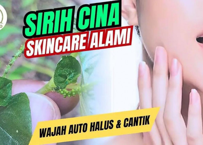 4 Cara Pakai Daun Sirih Cina untuk Wajah Glowing dan Awet Muda, Bantu Hilangkan Flek Hitam