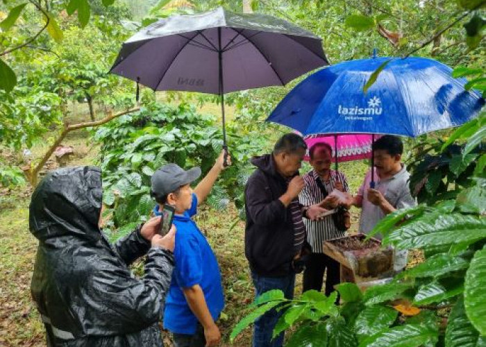 Tim Magister Penyuluhan Pertanian Unsoed Dampingi Petani Lebah Madu Klanceng di Desa Mendolo Pekalongan