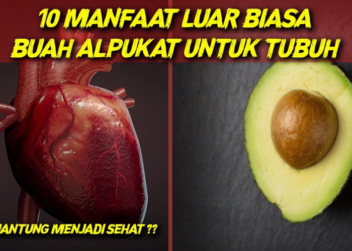 Inilah 4 Alasan Buah Alpukat Sangat Menyehatkan Tubuh, Mau Tahu Apa Saja?