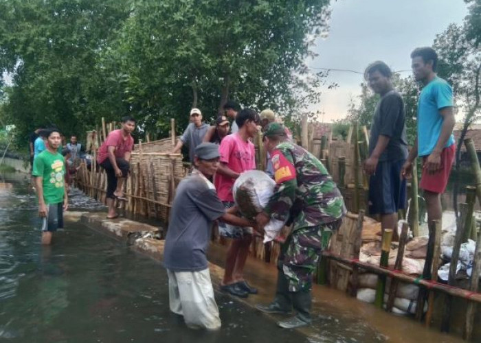 Tanggul Parapet Sungai Bremi Jebol, Desa Jeruksasi Kabupaten Pekalongan Banjir