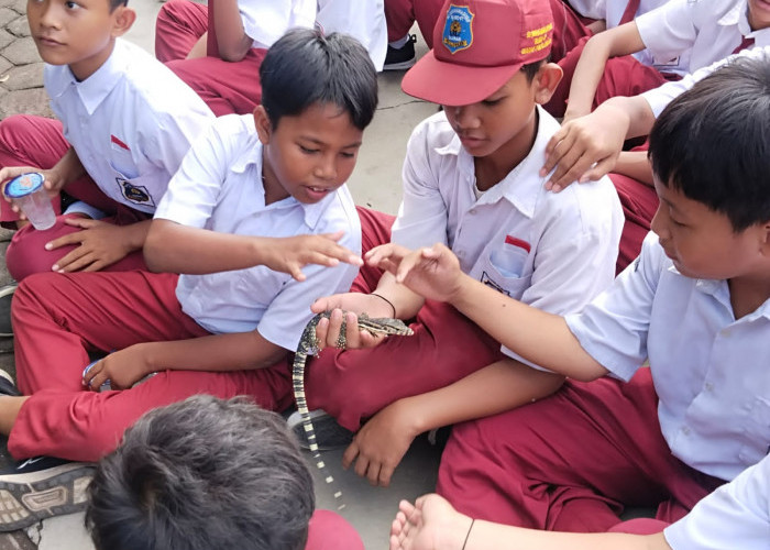 Murid SD Muhammadiyah Bligo 01 Diberikan Edukasi Reptil dan Satwa Bersama EXALOS Regional Pekalongan