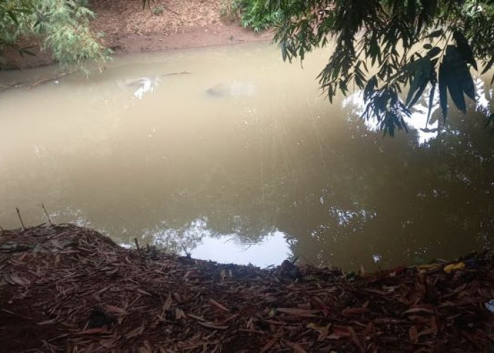 Balita Tewas Hanyut di Sungai Pekiringan Alit
