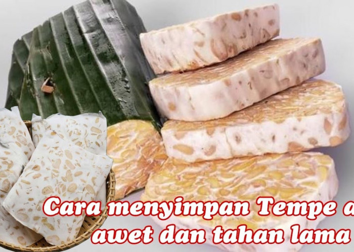 Trik Ampuh Menyimpan Tempe Agar Awet dan Tidak Berubah Rasa hingga 3 Bulan