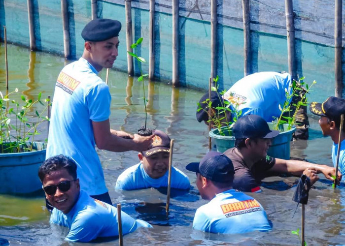 Alumni Diklatsus Baritim Kabupaten Pekalongan Tanam 1.000 Pohon Mangrove di Mulyorejo Tirto
