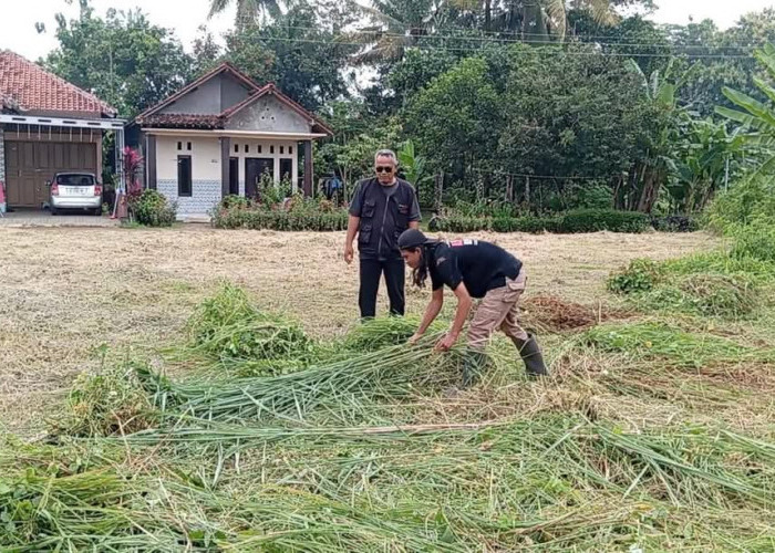 Warga Desa Wonopringgo Akan Ubah Lahannya Menjadi Pusat Pengembangan dan Pendidikan Pertanian