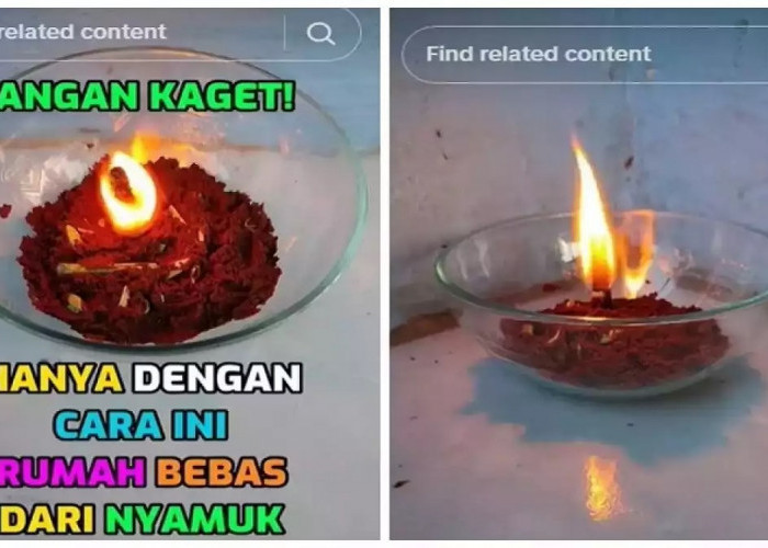 Trik Ampuh! Cara Membuat Obat Nyamuk Sederhana dengan 3 Bahan Dapur, Efektif dan Bebas Bau Menyengat